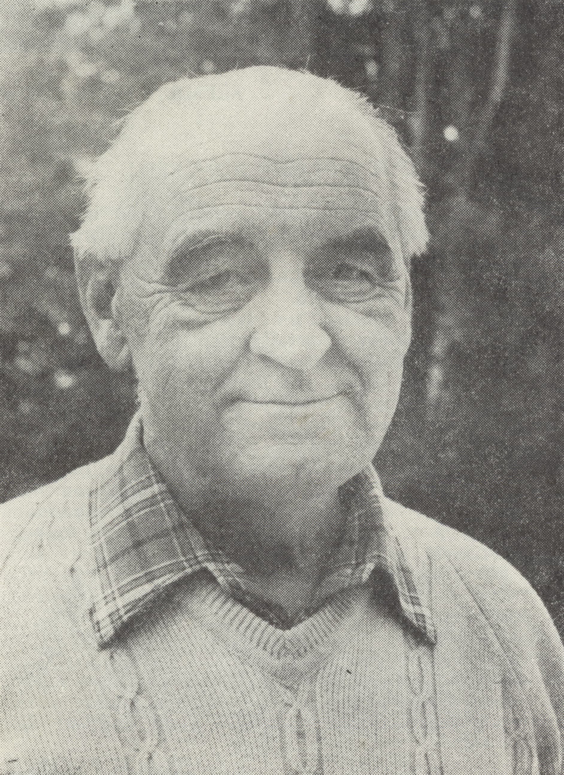 Alojz Krupitzer
