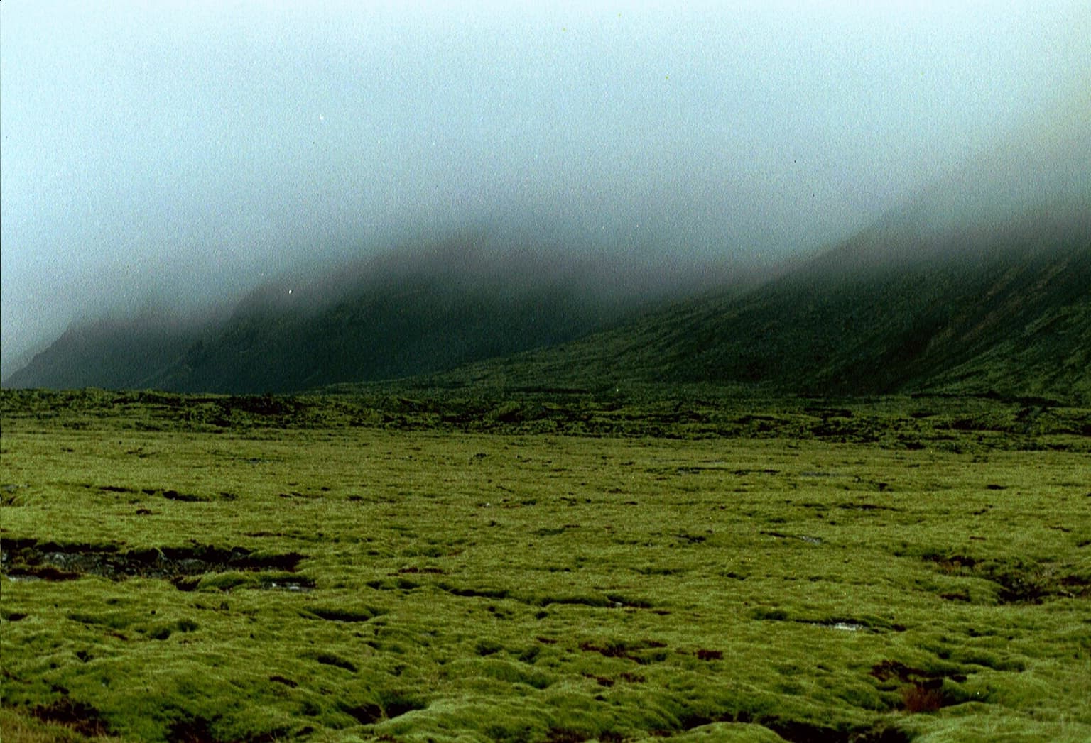 Gallery Image 23
