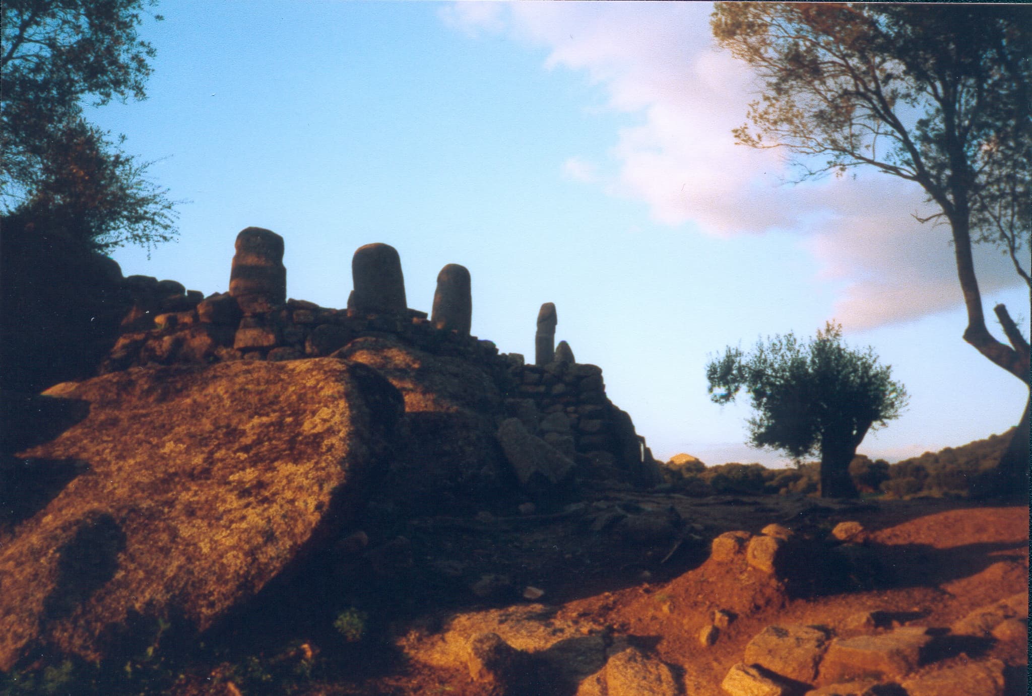 Gallery Image 13