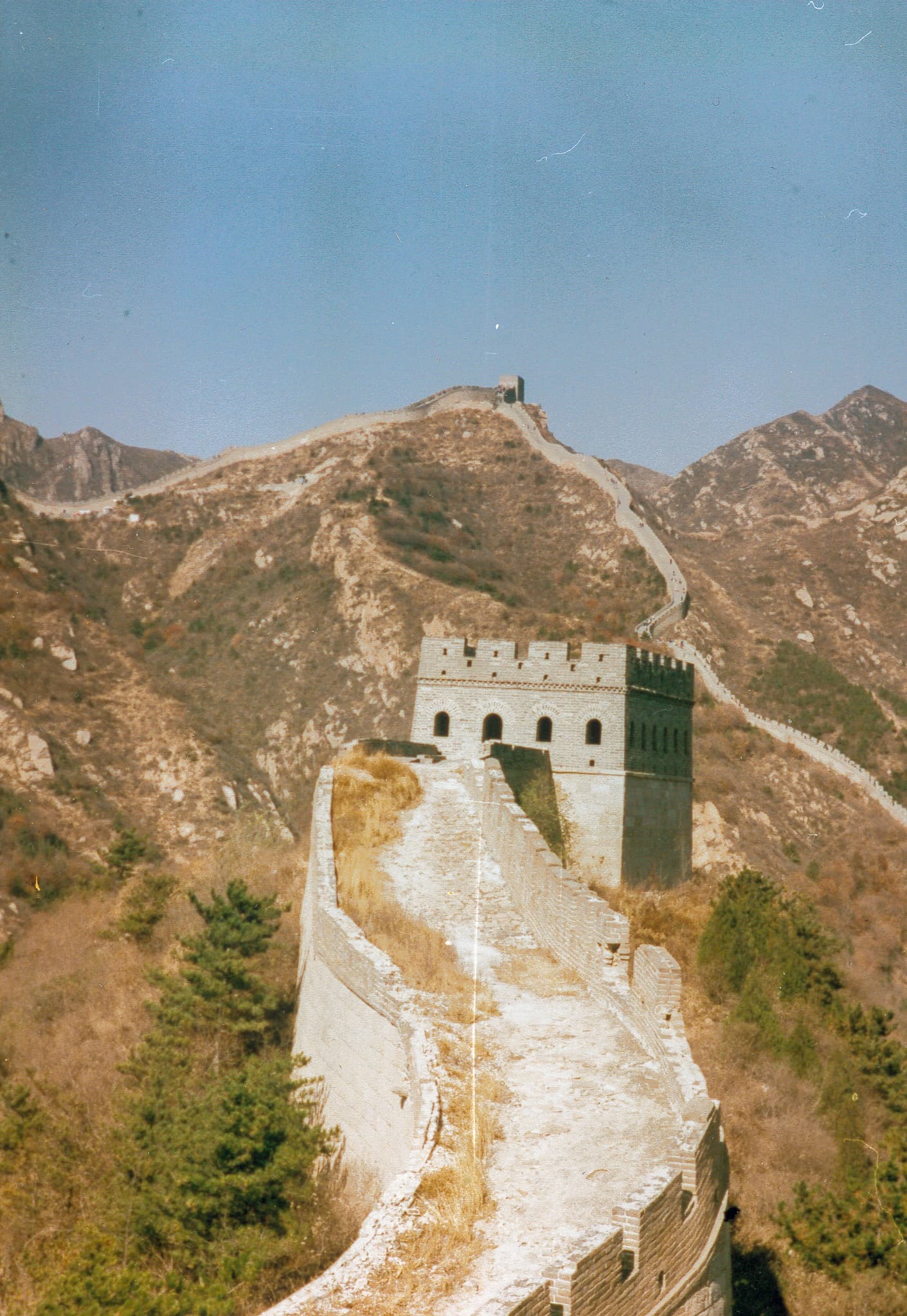 Gallery Image 49
