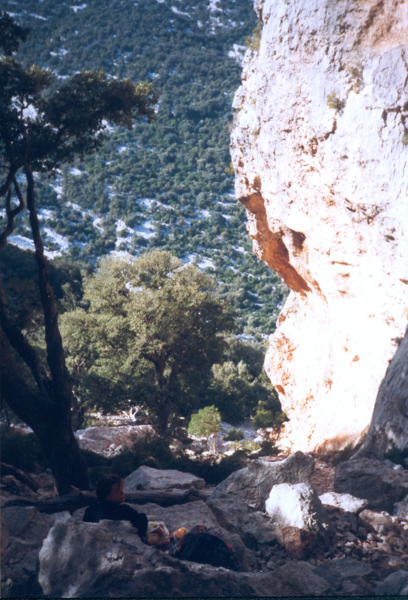 Gallery Image 51