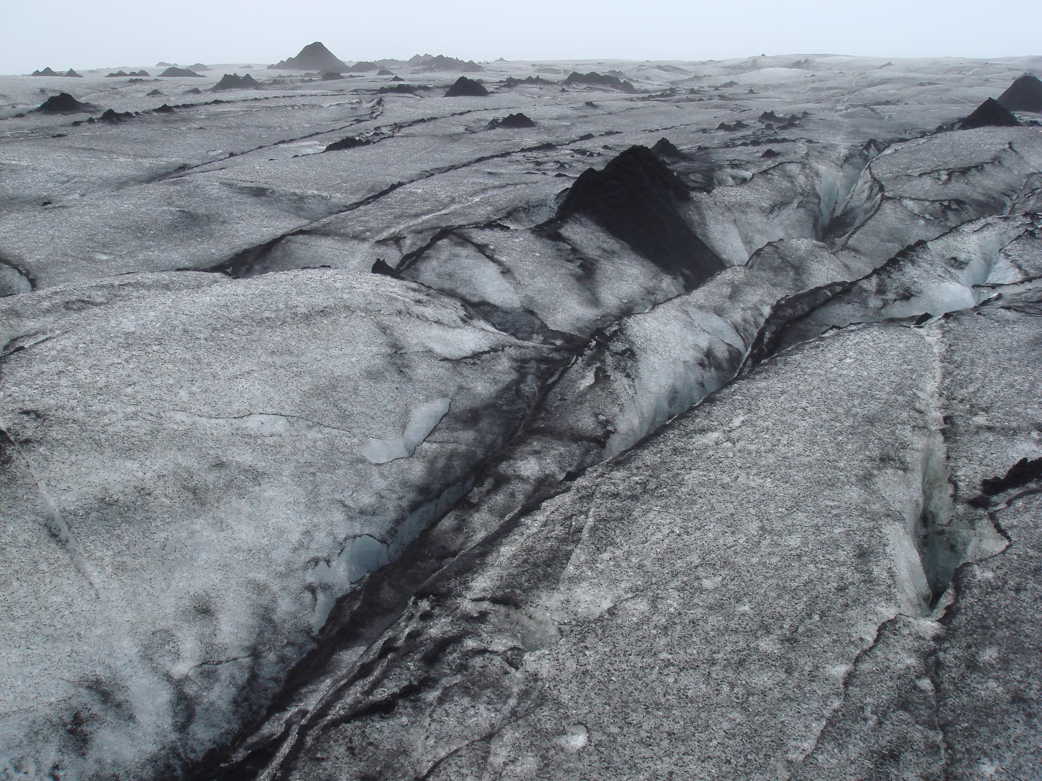 Gallery Image 57