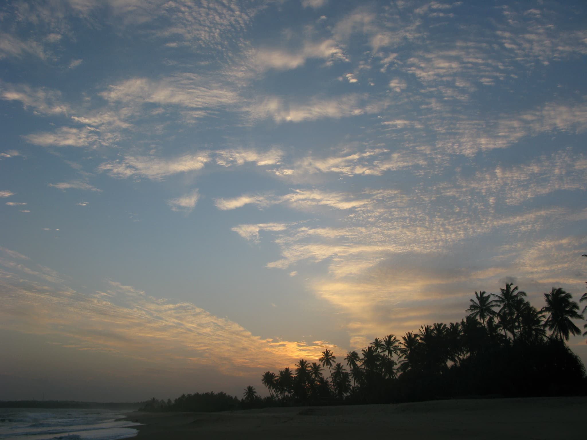 Gallery Image 12