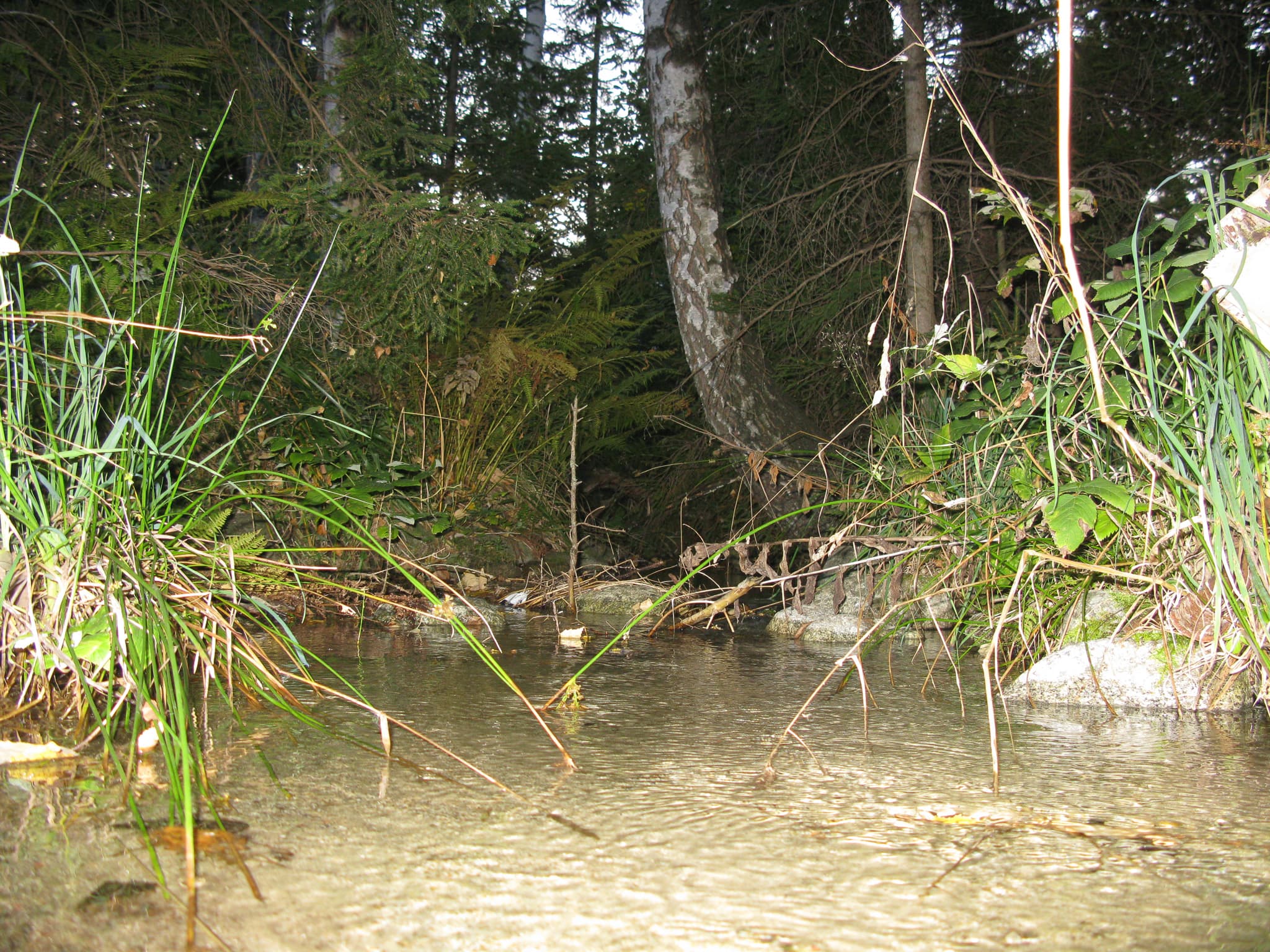 Gallery Image 51