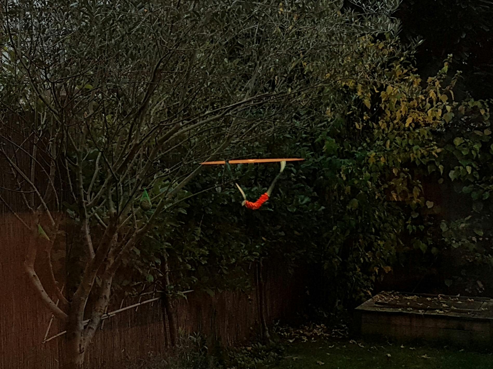 Unidentified flying object in the garden